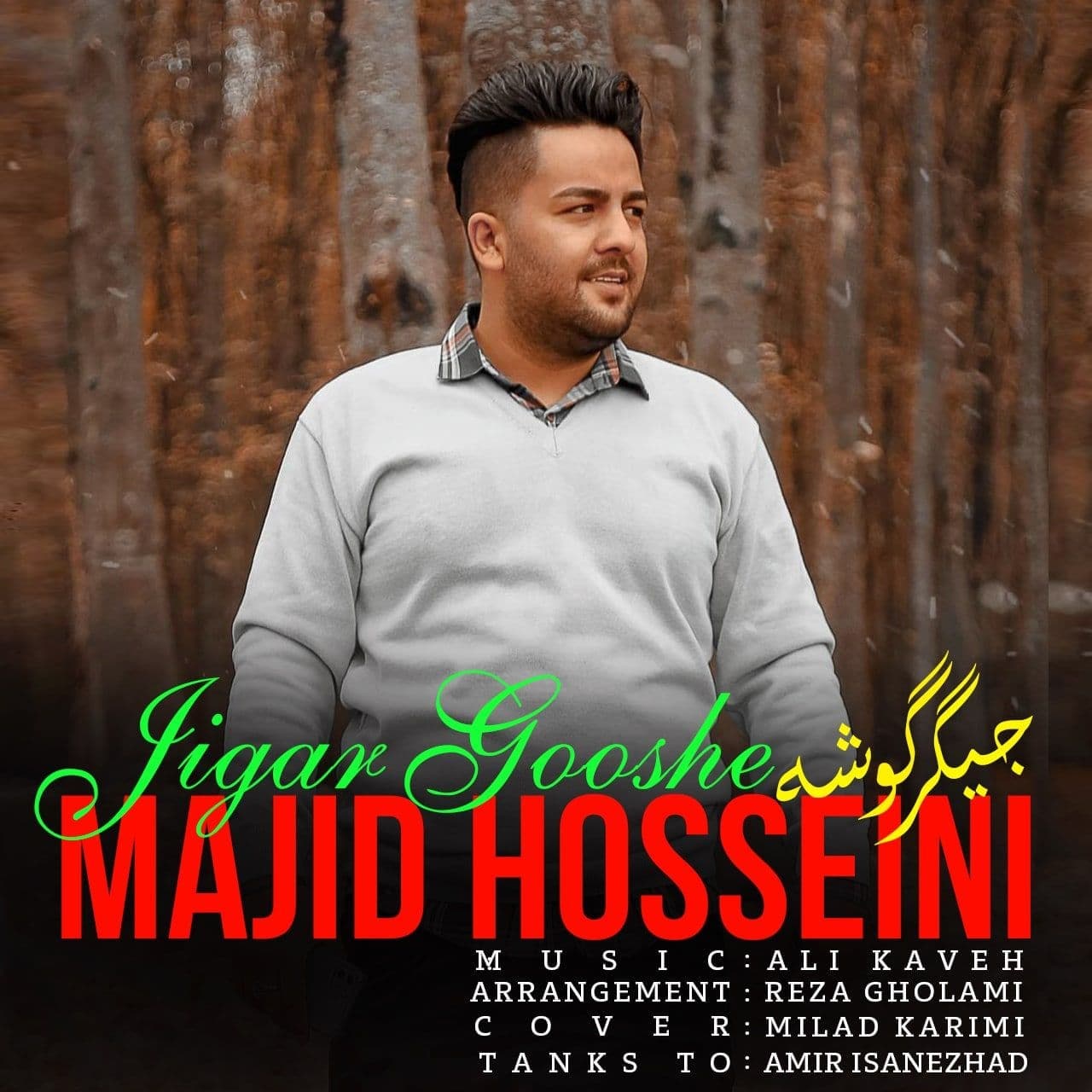 مجید حسینی جیگر گوشه